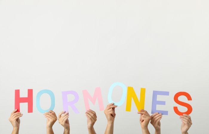 Women’s Hormones: Impact on Daily Energy
