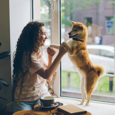 ESA Letter Online in Ohio